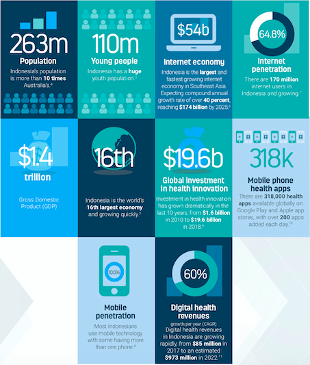 Indonesia Digital Health Report Graphic