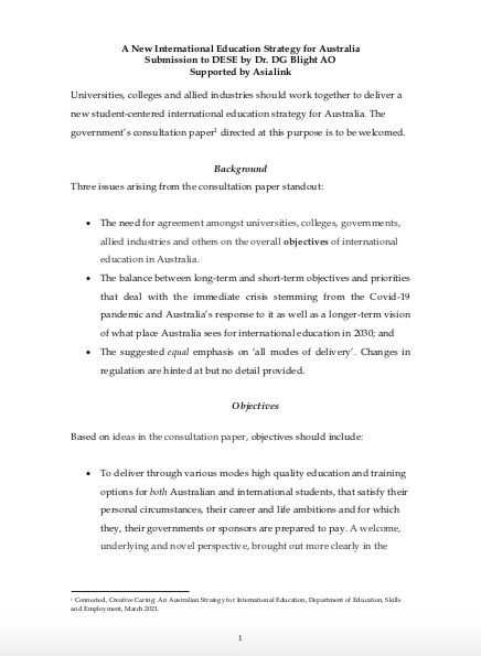 International Education Strategy Submission to DESE